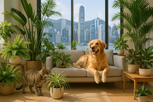A dog laying on the sofa with Botani Bloom plants around