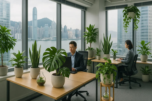 Hong Kong Workplace, potted plant around
