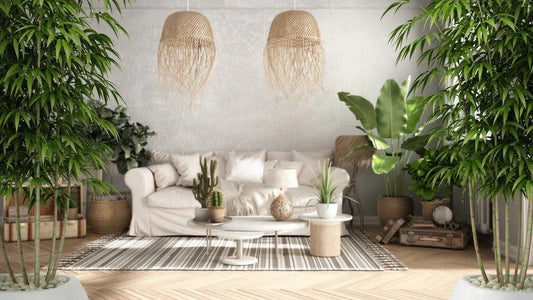 living room with lush bamboo, cactus, and tropical plants in stylish pots, featuring a white sofa, woven pendant lights, and a striped rug, designed for Feng Shui harmony and Hong Kong home wellness
