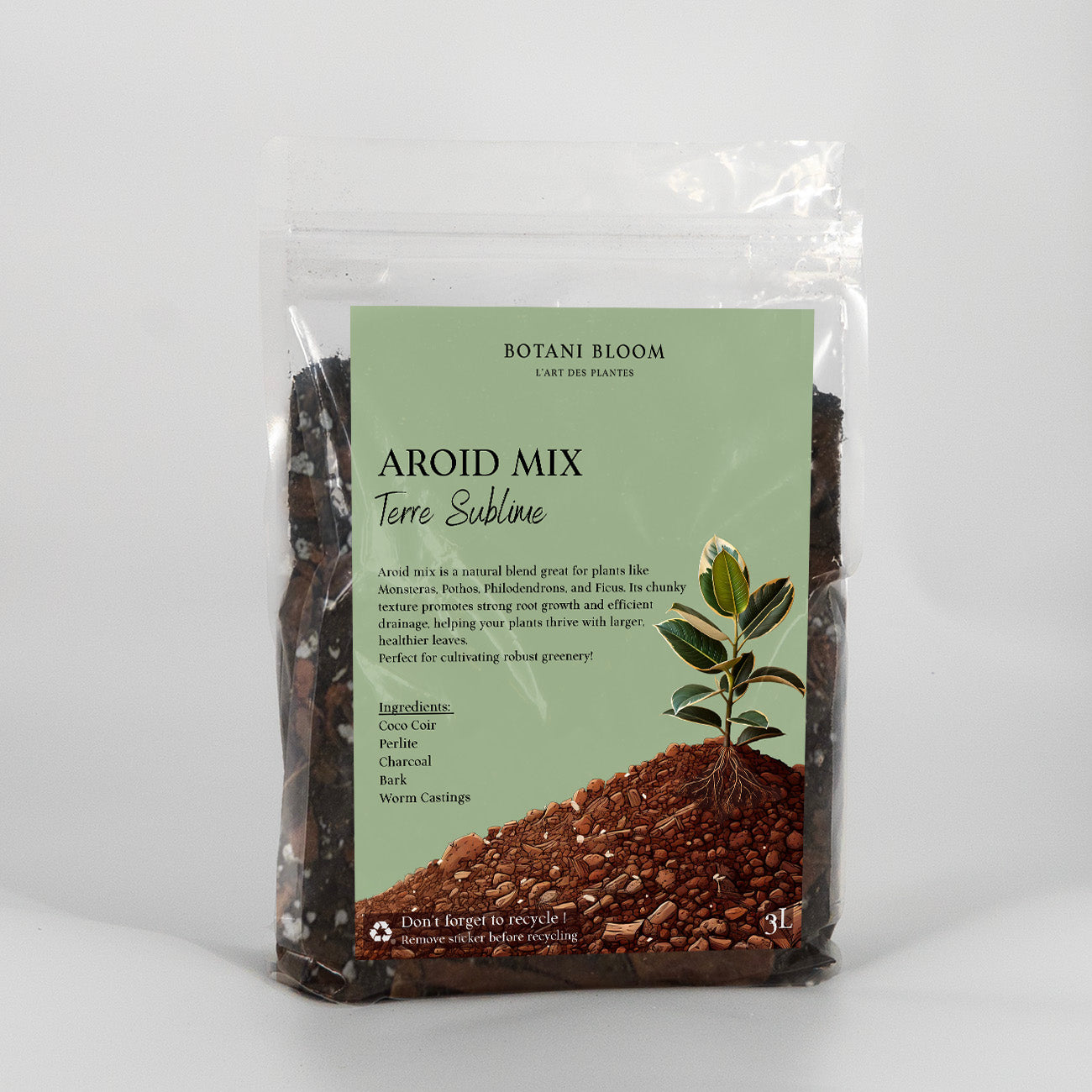 Aroid Mix