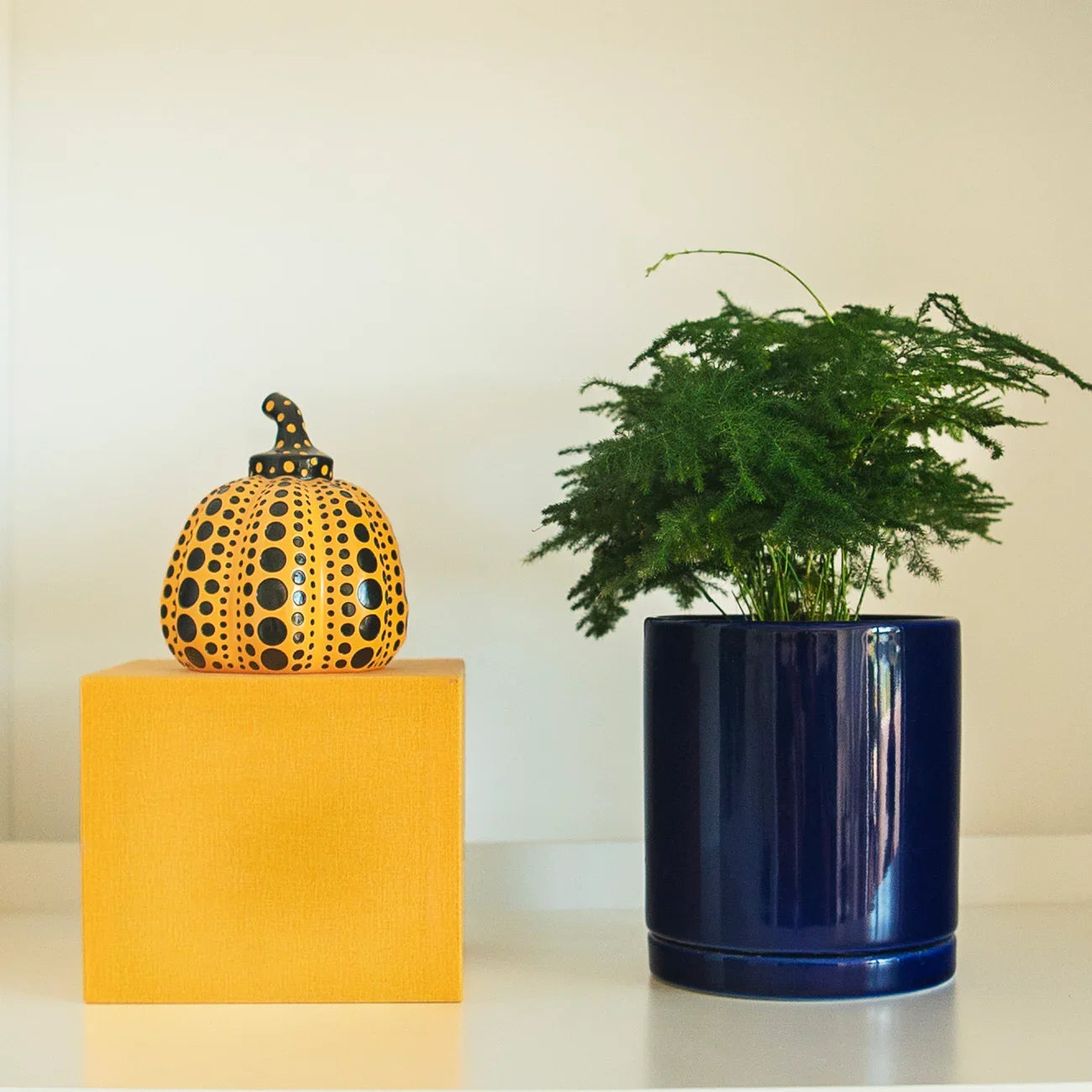 Asparagus fern in a botani bloom pot, with another design piece