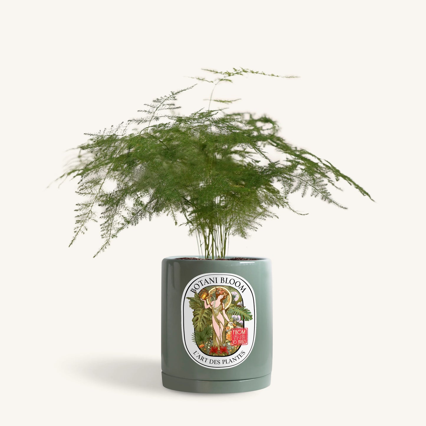 Potted plant with a decorative label on a white background, front view