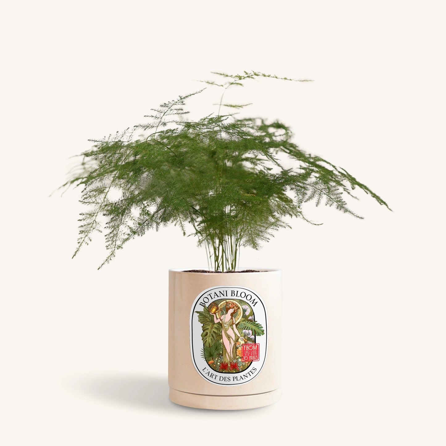 Potted plant with a Botani bloom label on a white background, front view