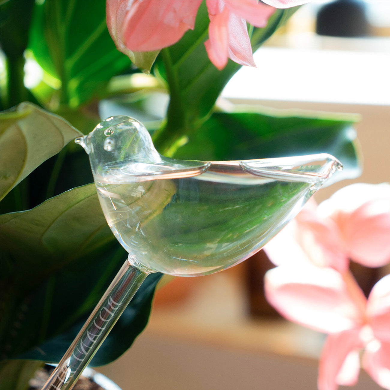 A clear glass bird shaped watering bulb designed to hold water, placed in a pot with green leaves and pink flowers.