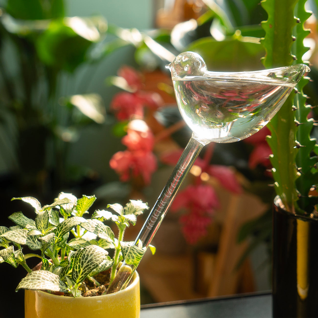 A clear glass bird shaped watering bulb designed to hold water, placed in a yellow botani bloom pot with a green fittonia