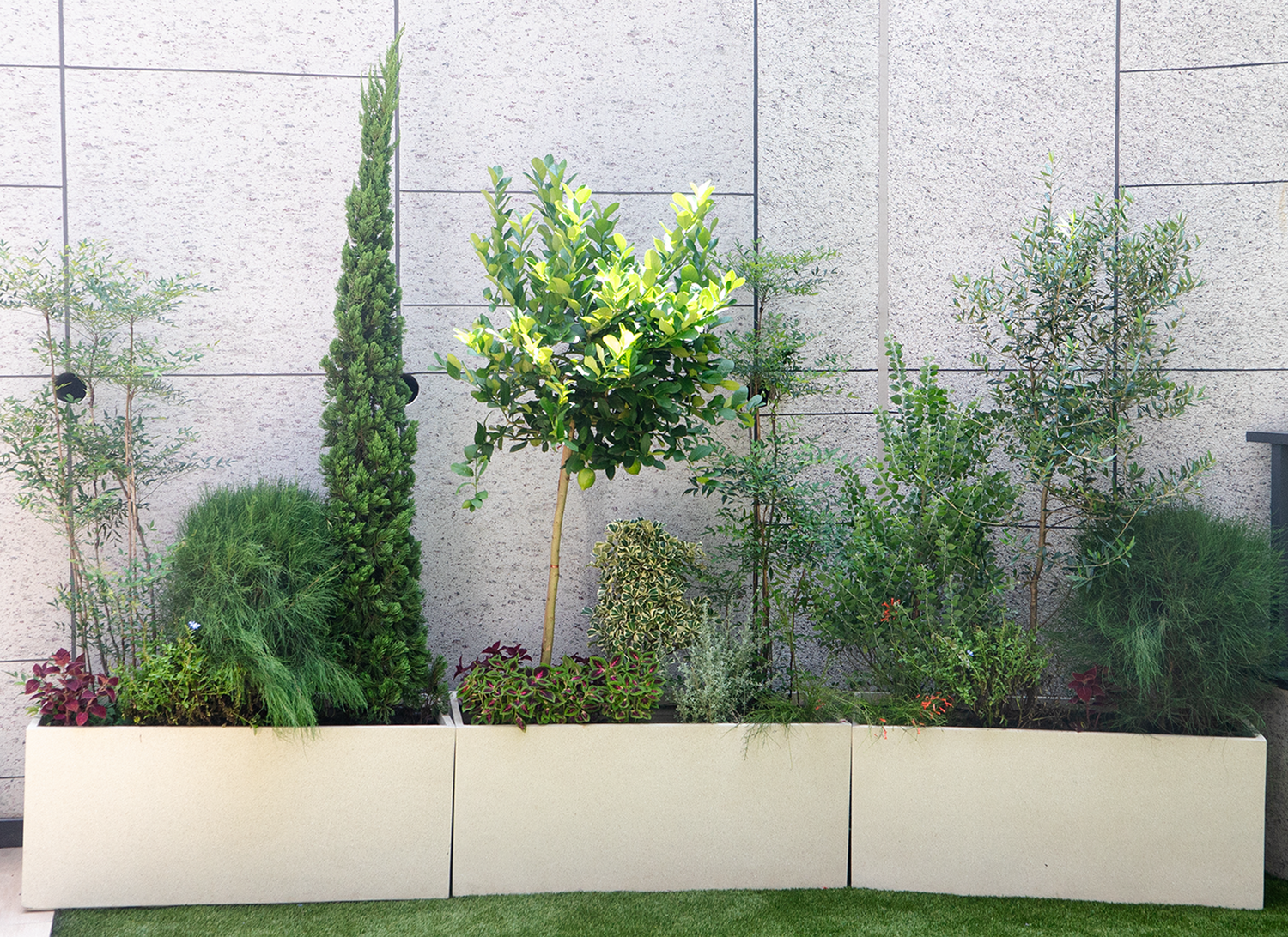Botani Bloom landscape design services