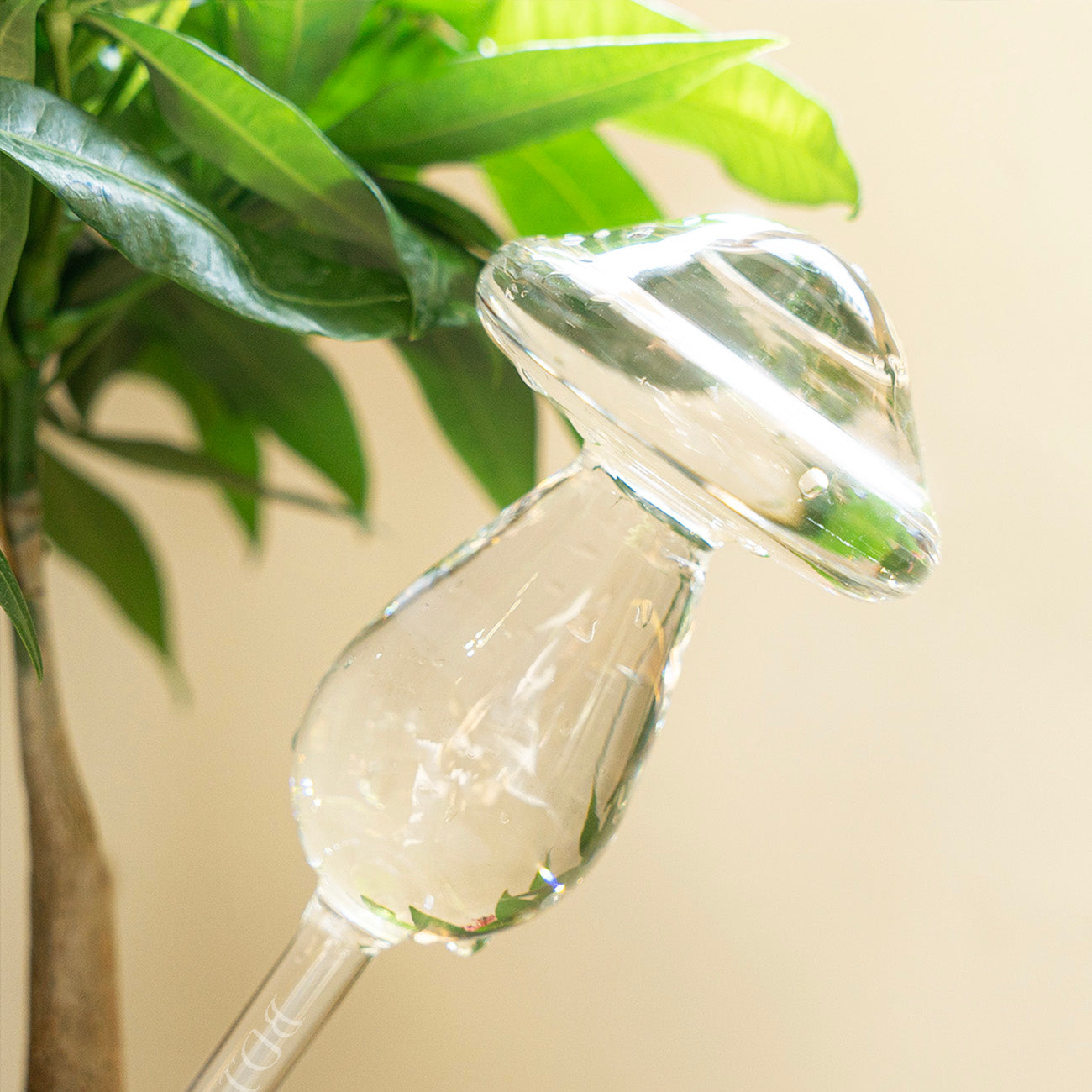 A clear glass mushroom shaped watering bulb designed to hold water, placed in a pot with green leaves