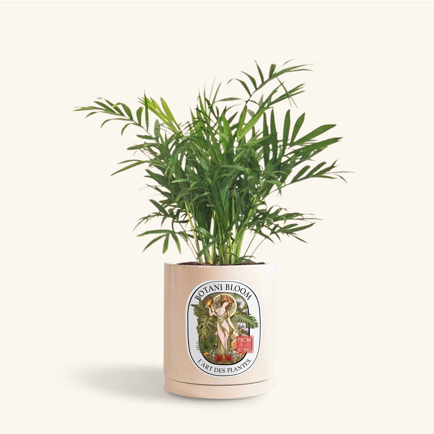 A potted Parlor Palm, in a botani bloom beige colored pot, front view