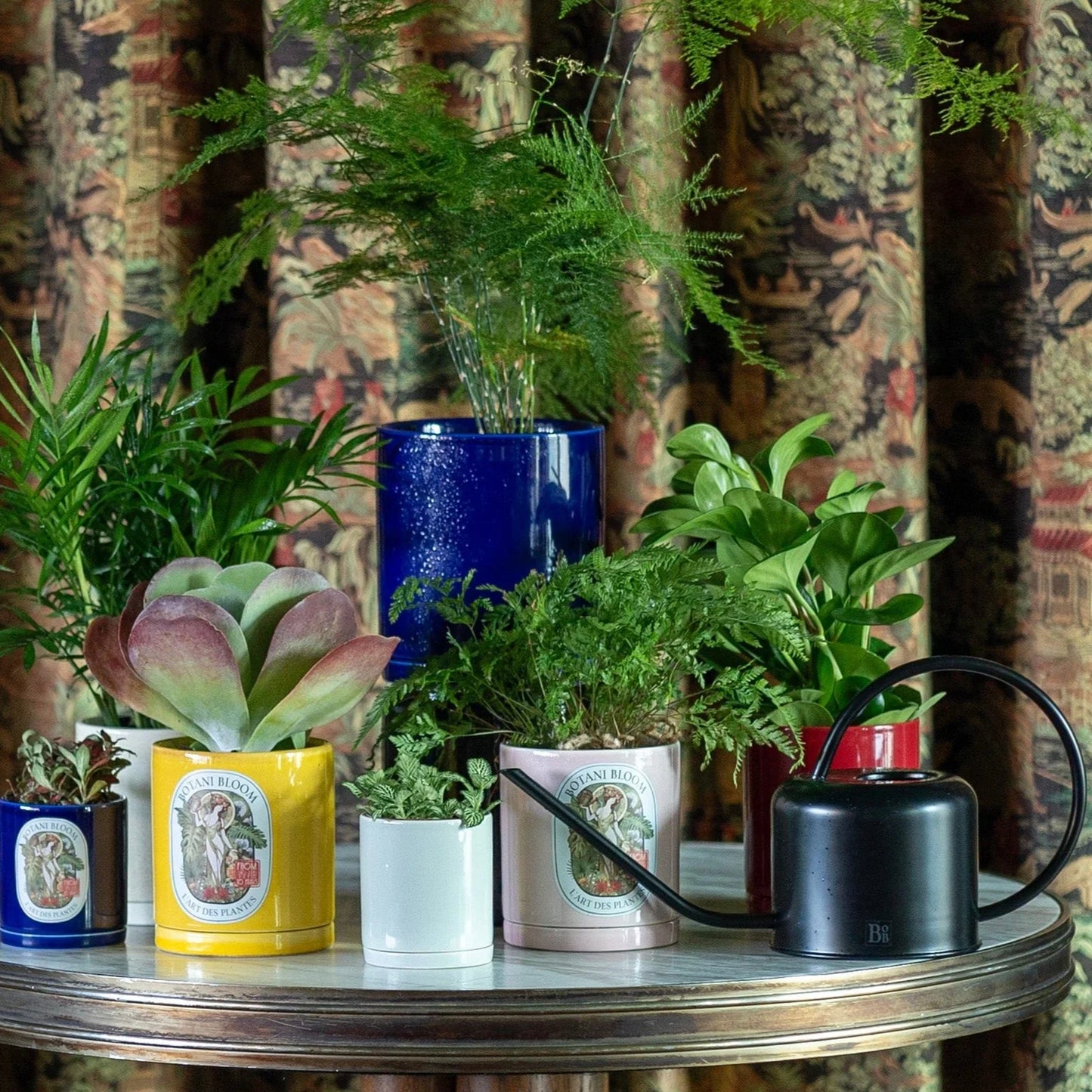A potted asparagus fern, housed in a blue large botani bloom pot, with other plants and pots