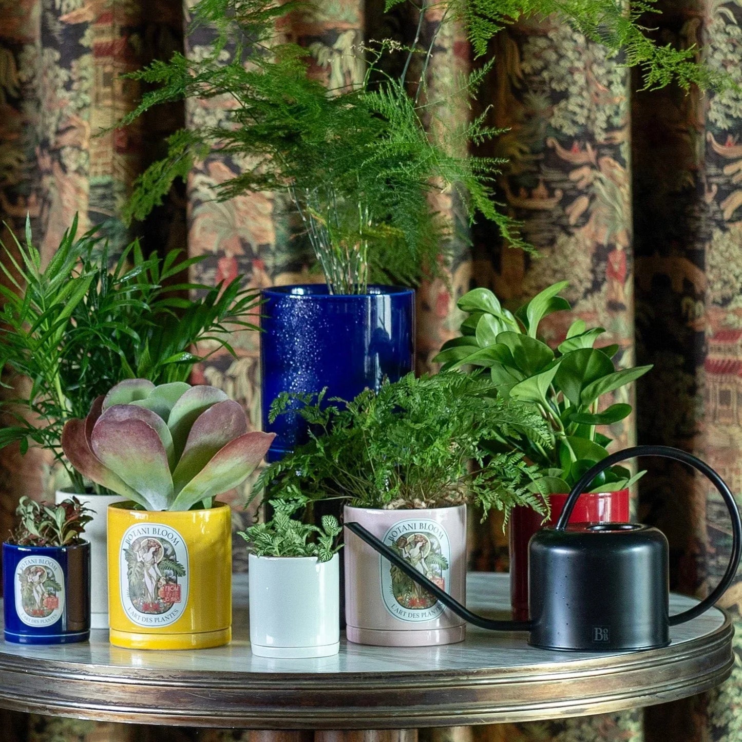 Collection of potted plants on a table with a decorative background