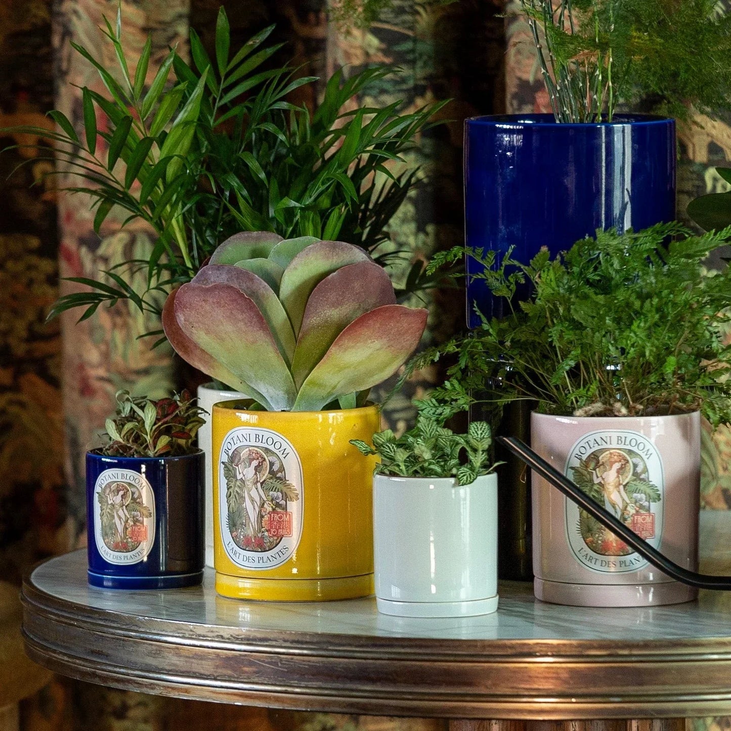Collection of botani bloom potted plants on a table with botani bloom planters.