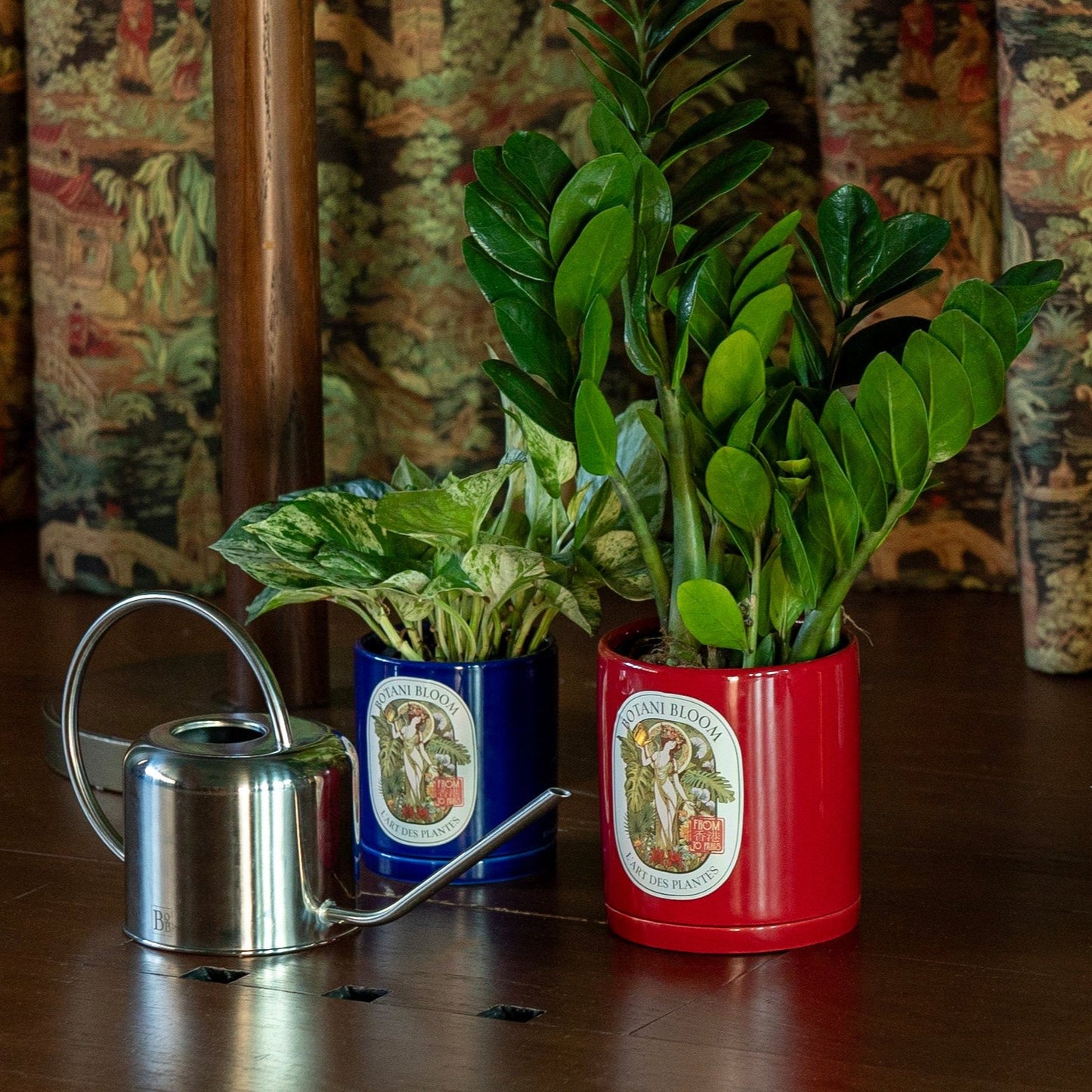 A potted Marble Queen Pothos in a Botani bloom blue pot, with watering can and ZZ plant in pot