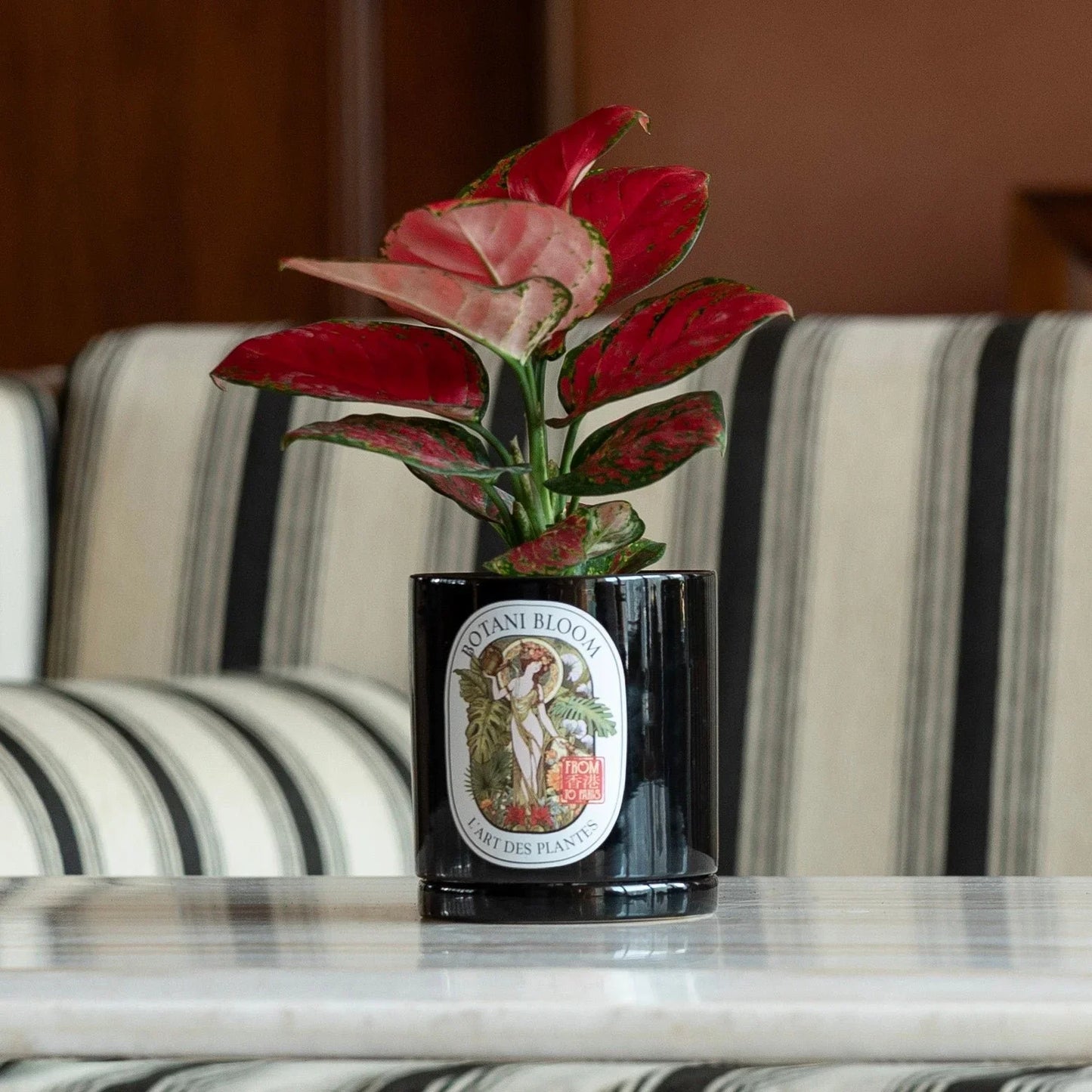 Potted plant with a decorative label on a marble surface in front of a striped sofa.