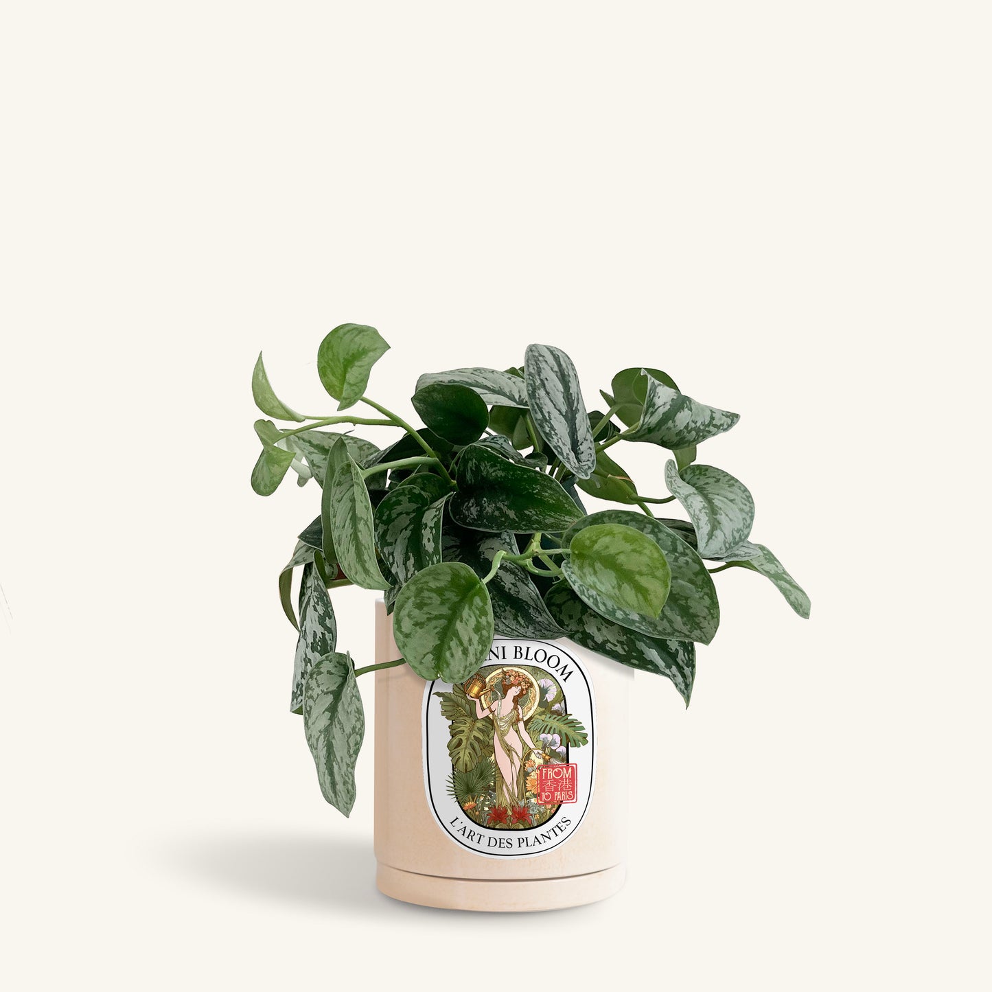 A potted satin pothos in a beige botani bloom pot, front view