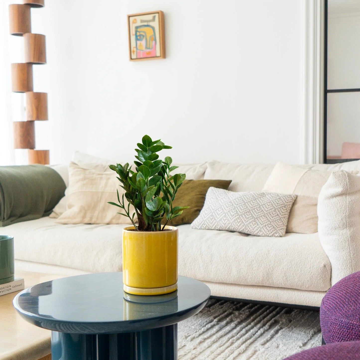 A potted ZZ Plant in a yellow Botani Bloom pot, on a coffee table on a living room