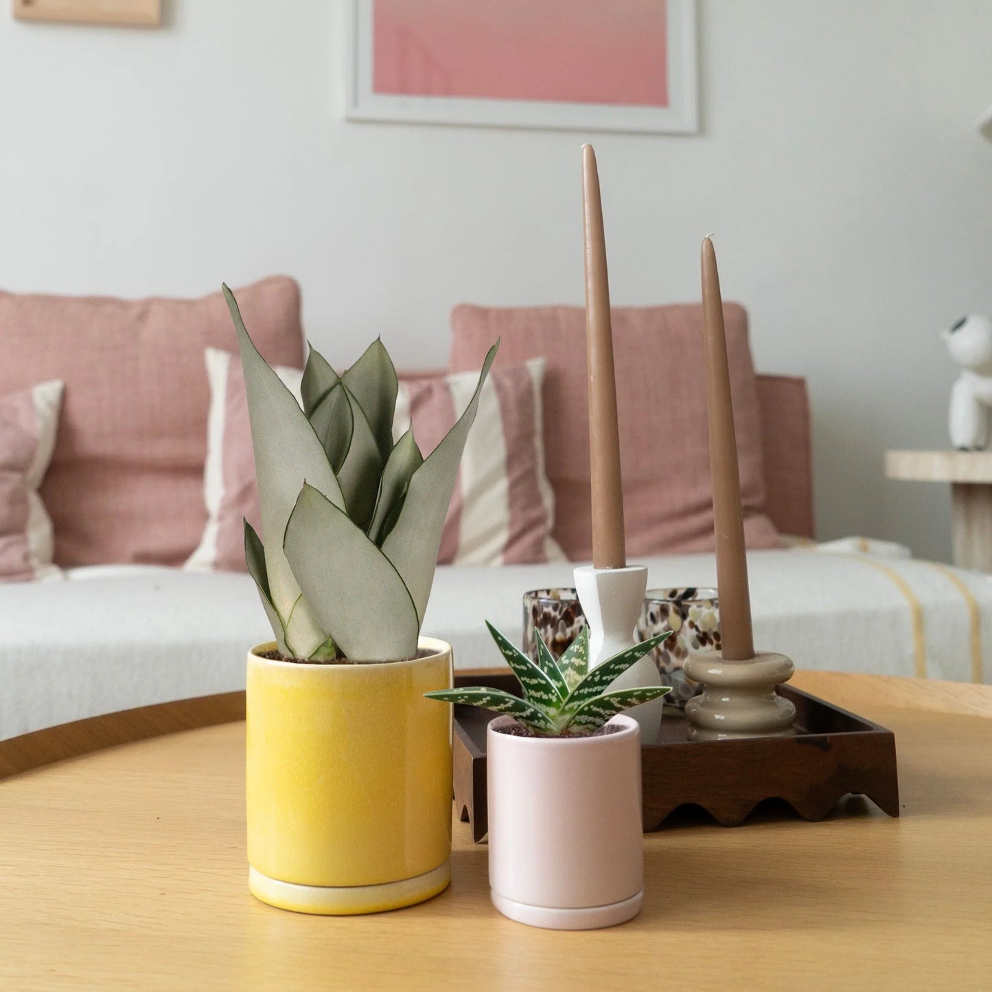 Decorative items on a table including potted plants and candles with a pink sofa in the background.