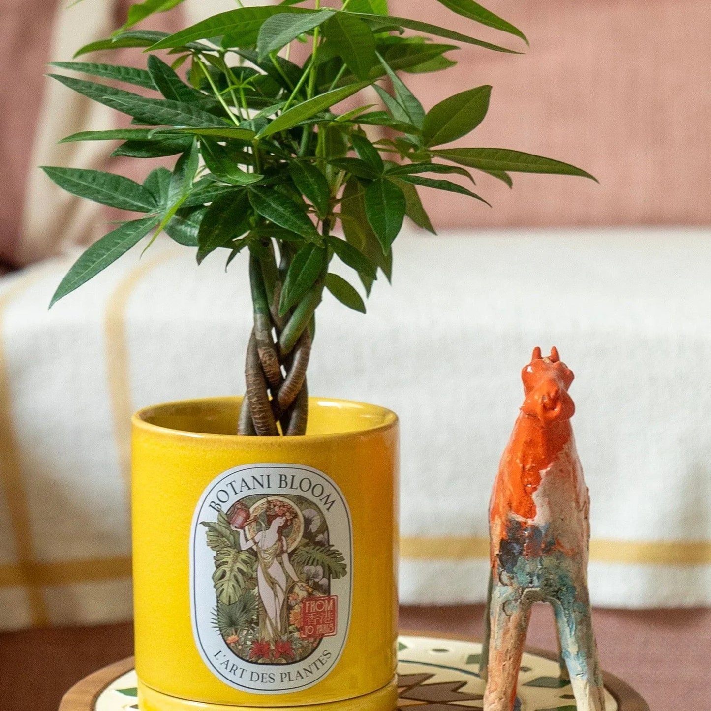 A potted Braided Money Tree, housed in a yellow botani bloom pot, with another design piece