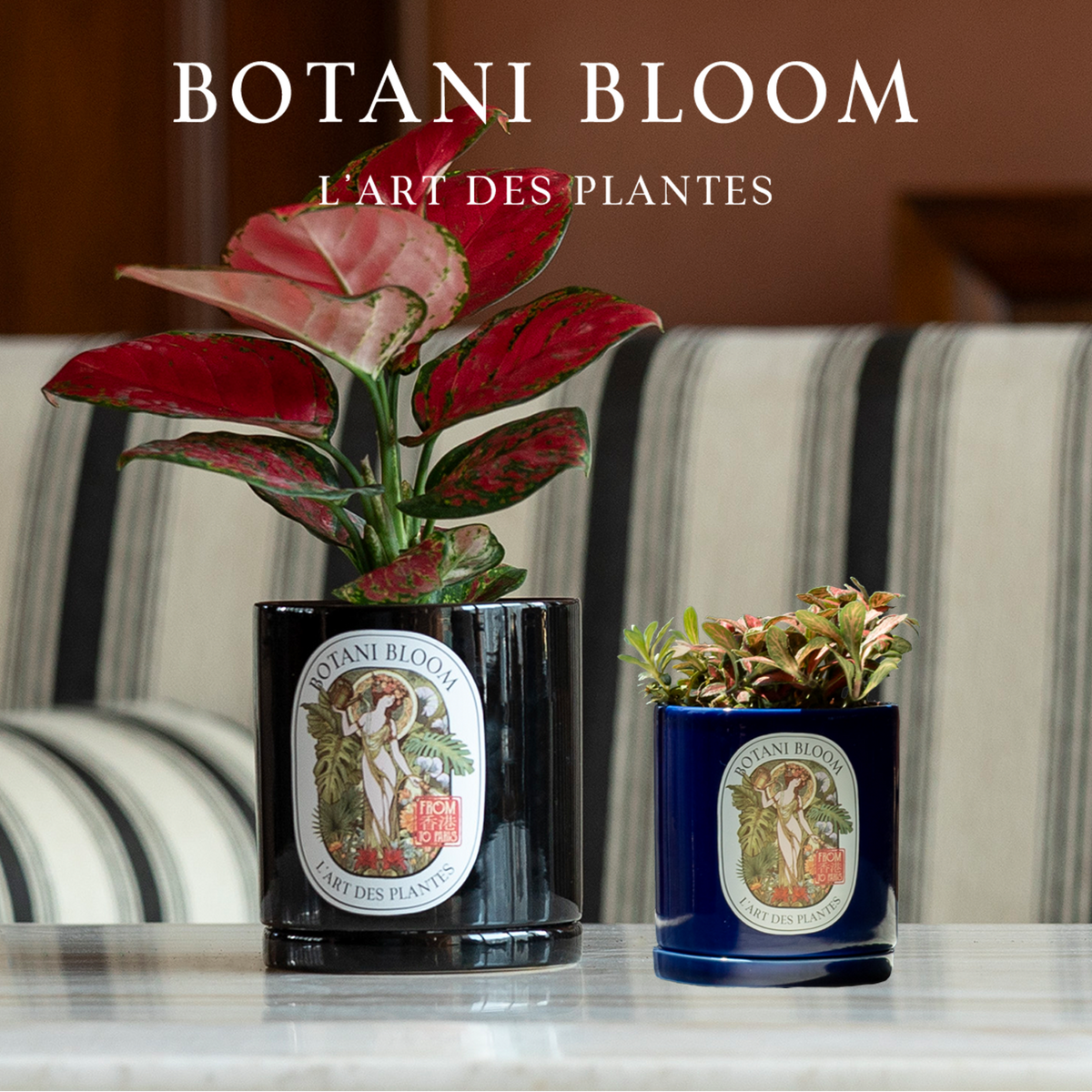 Photo showcasing Botani Bloom potted plant