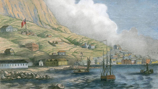 Historic illustration of Hong Kong harbor with ships and coastal buildings in a colonial era setting