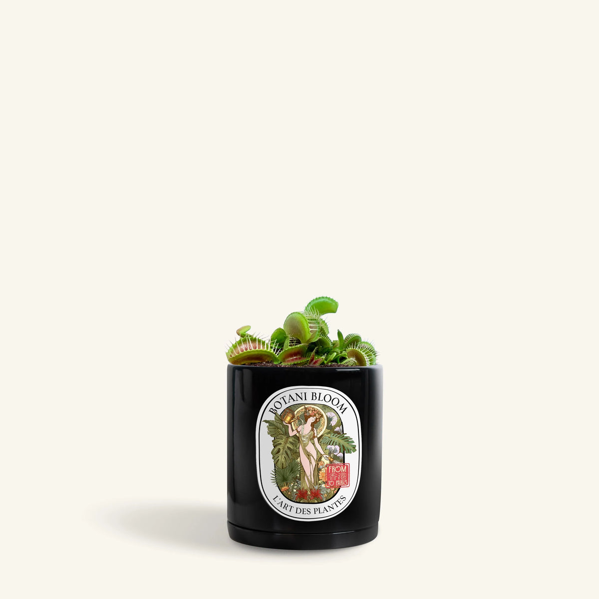 Edith: Venus Flytrap , Botani Bloom Hong Kong