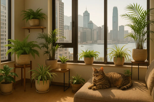 Potted plant showcasing, with a cutie cat sitting quietly on the sofa.