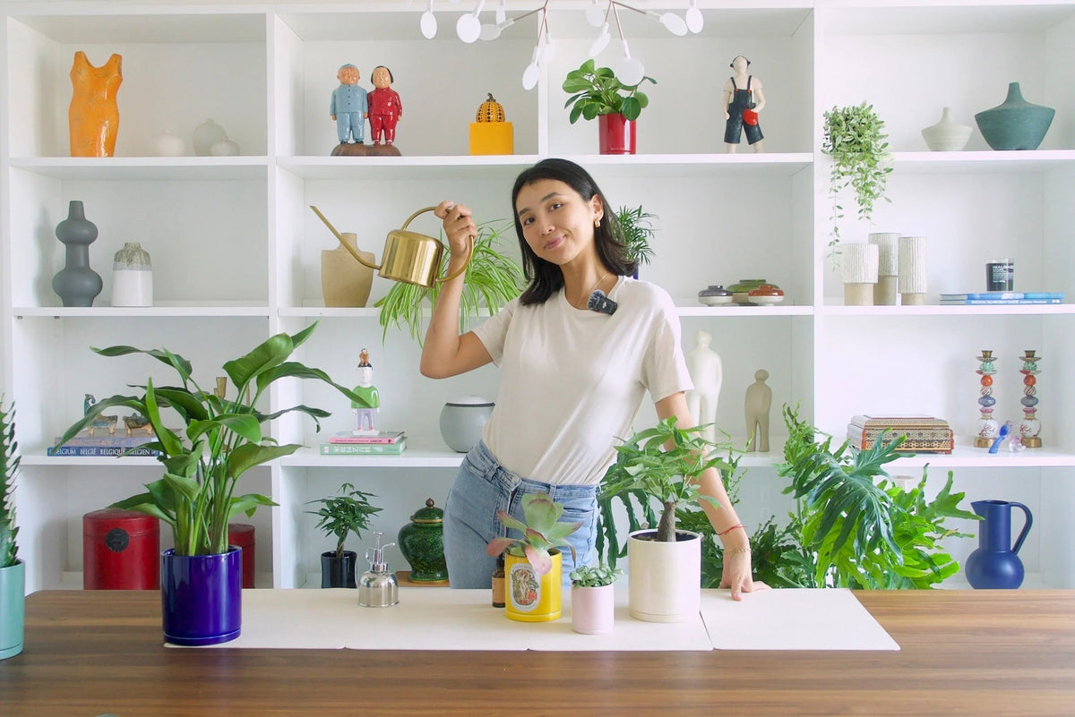 Botani Bloom expert watering indoor plants with a stylish watering can, surrounded by lush greenery, pots, and decor on shelves, enhancing Hong Kong home wellness, plant care, and green living