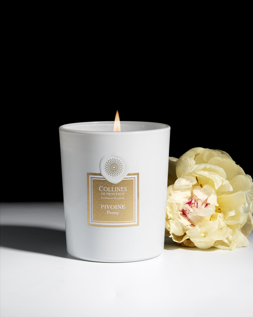 White scented candle with a gold label next to a white flower on a black background