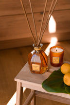 Mandarin & Yuzu Scented Candle, with Mandarin & Yuzu Reed diffuser