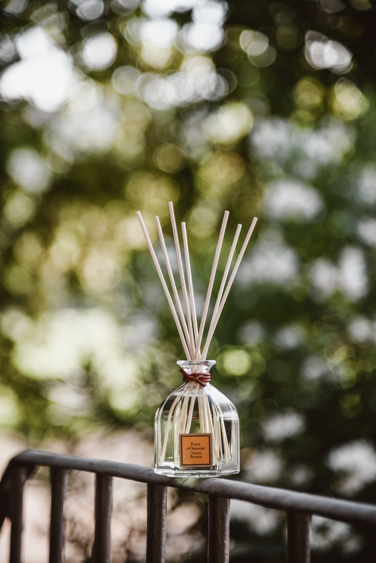 Orange Blossom Reed Diffuser, in use