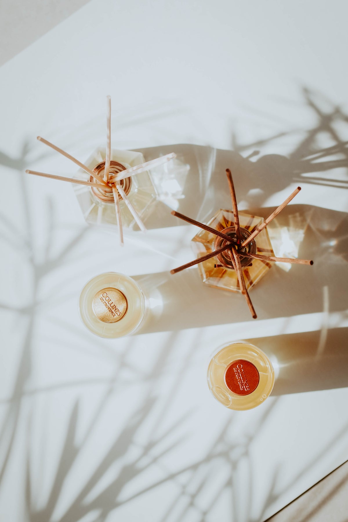 top view of Two diffusers and two diffuser refills with reeds on a white surface with shadows.