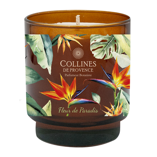Bird of Paradise Candle