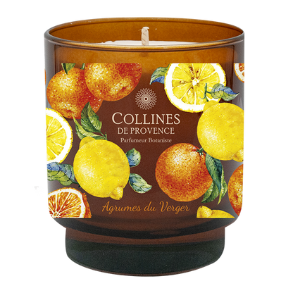 Citrus Orchard Glow Candle