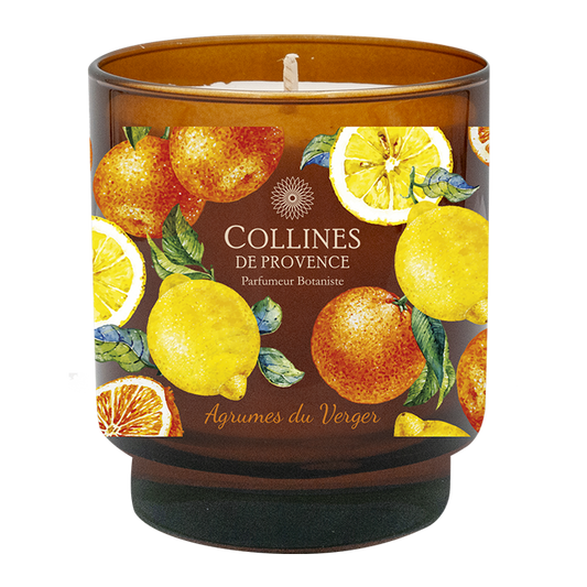 Citrus Orchard Glow Candle