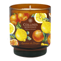 Citrus Orchard Glow Scented Candle, front view