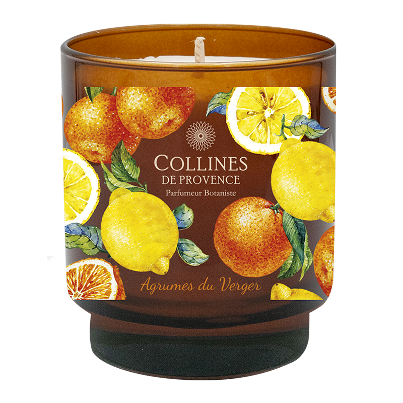 Citrus Orchard Glow Scented Candle, front view