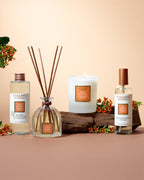 Collines de Provence Sandalwood collection of diffuser, candle, room spray, and refill, with a beige background