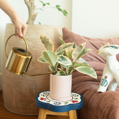 A gold-colored botani bloom watering can with a long spout and comfortable handles, being used to water a plant