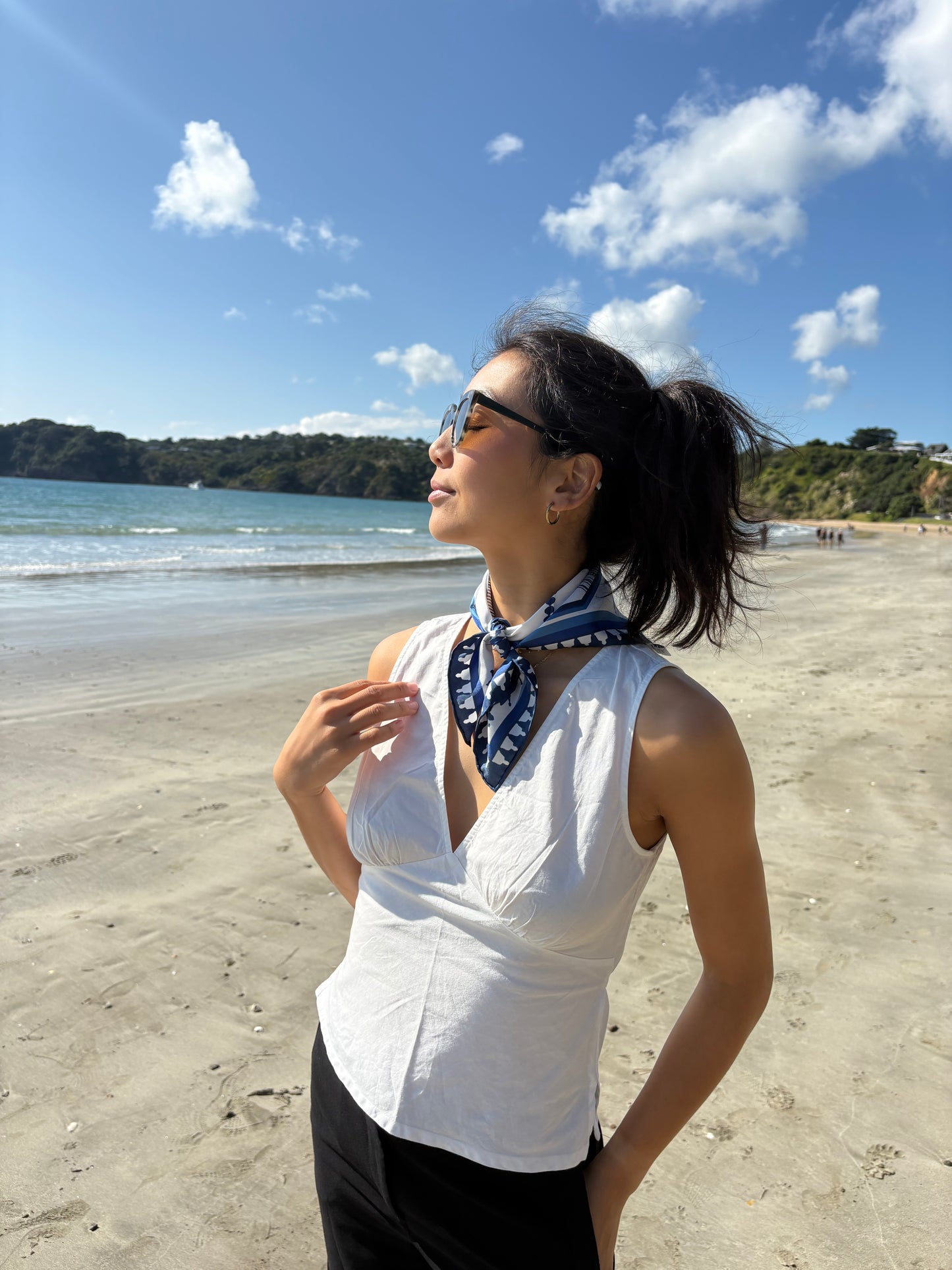 Horizon 852 Scarf - Blue