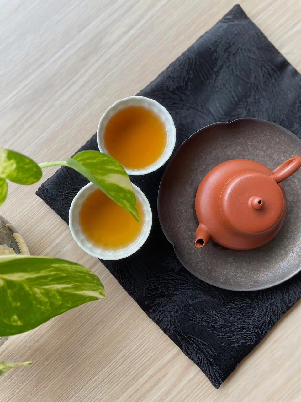 Plant & Sereni-Tea: A Zen Garden Bowl and Tea Tasting Experience