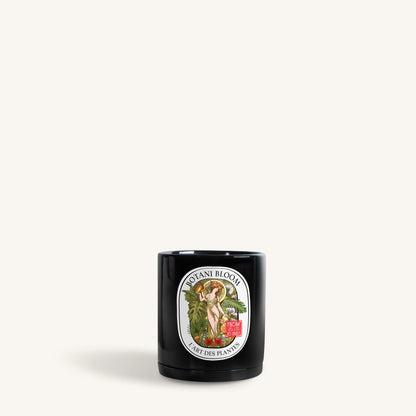 Botani Bloom black pot, front view
