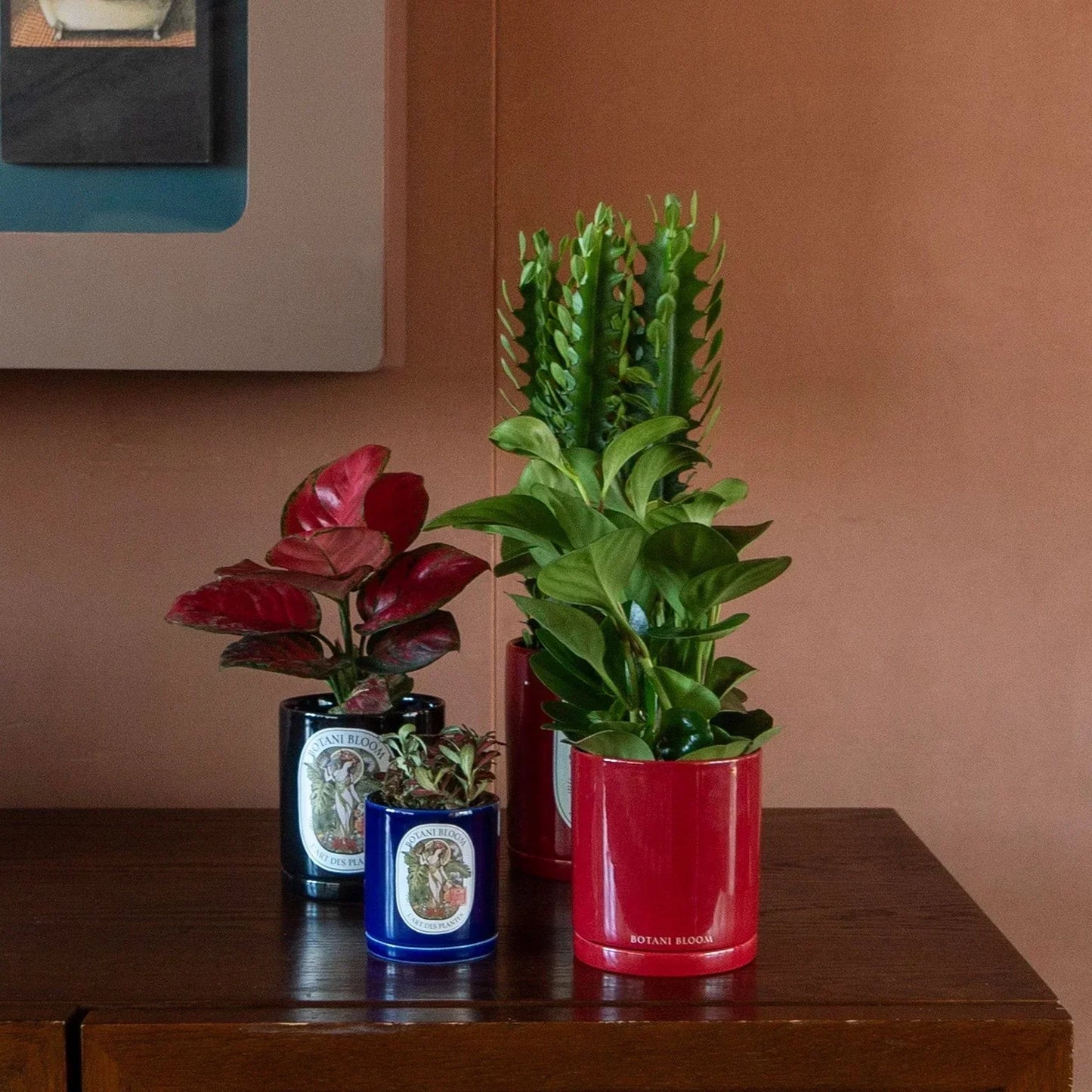 Potted plants on a wooden surface with a neutral wall background