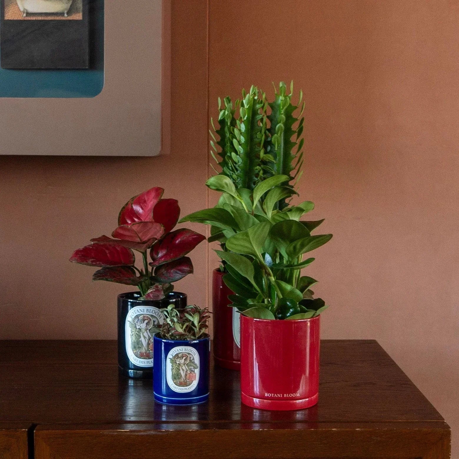 Potted plants on a wooden surface with a neutral wall background