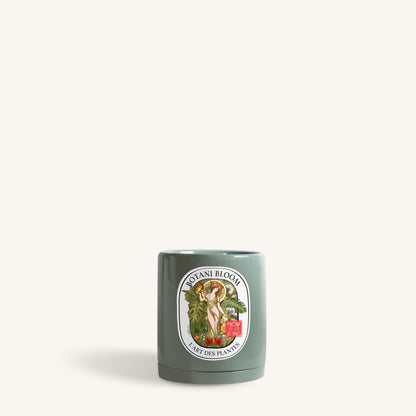 Botani Bloom green pot, front view