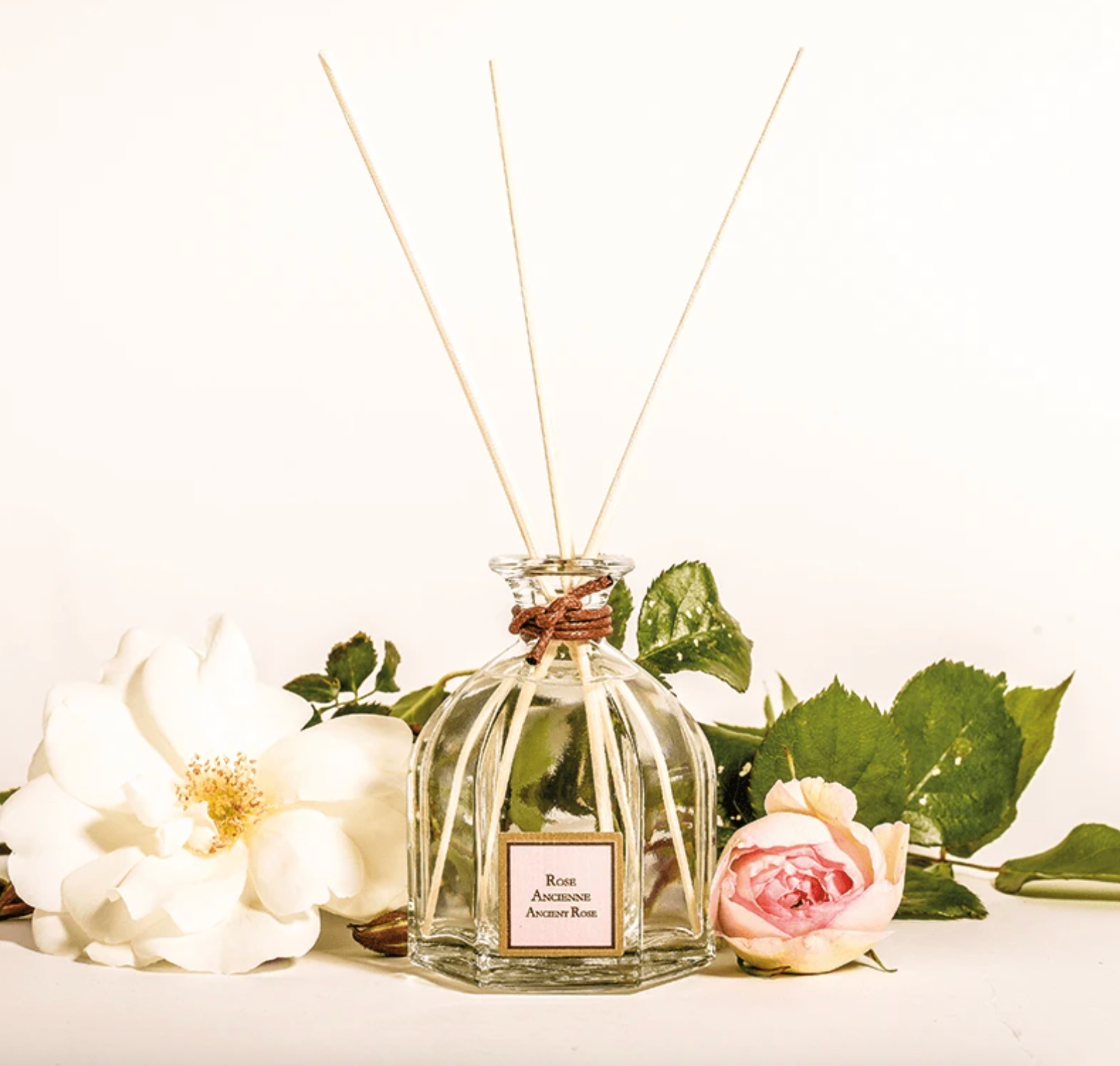 A Collines de provence reed diffuser bottle with reeds surrounded by flowers and leaves on a light background