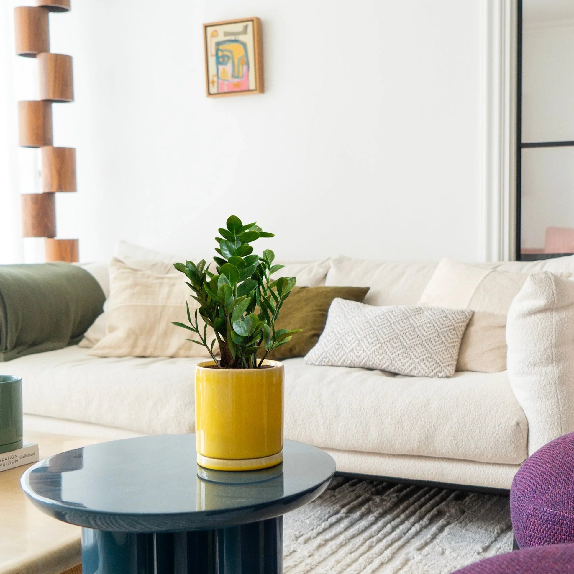 A potted ZZ Plant in a yellow Botani Bloom pot, on a coffee table on a living room