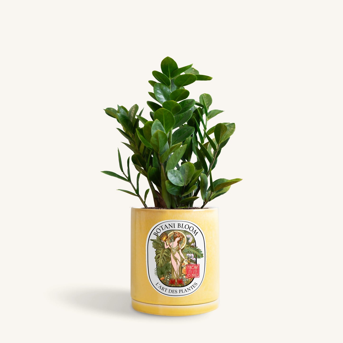 A potted ZZ Plant in a yellow Botani Bloom pot, front view