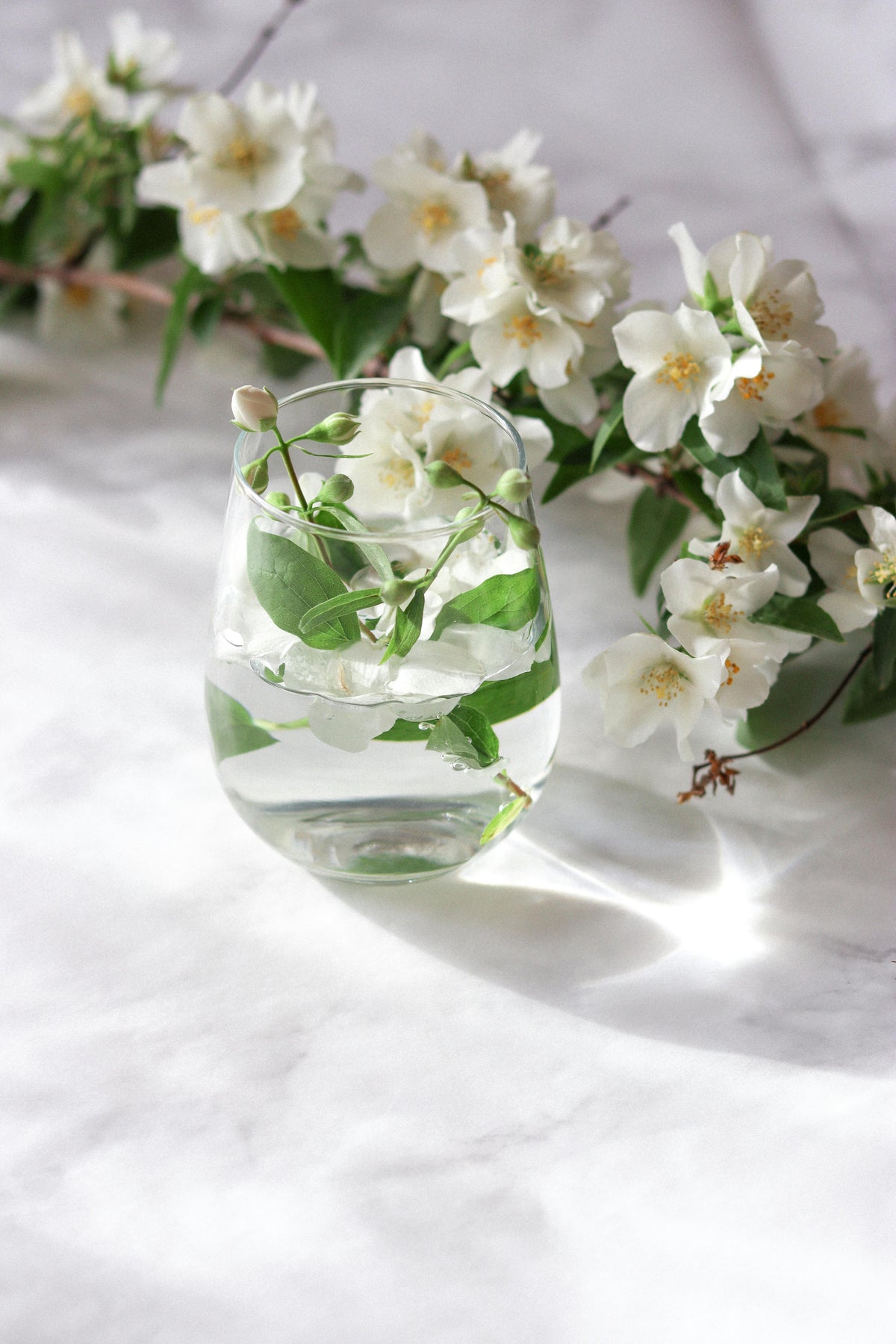 Flowers put in a cup of water